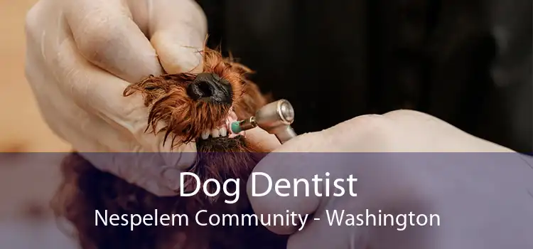 Dog Dentist Nespelem Community - Washington