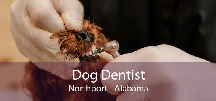 Dog Dentist Northport - Alabama