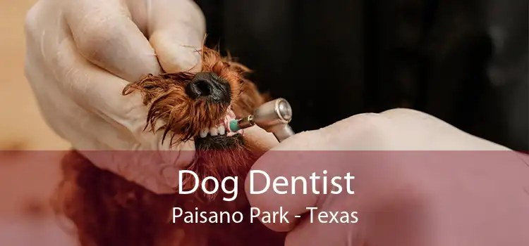 Dog Dentist Paisano Park - Texas