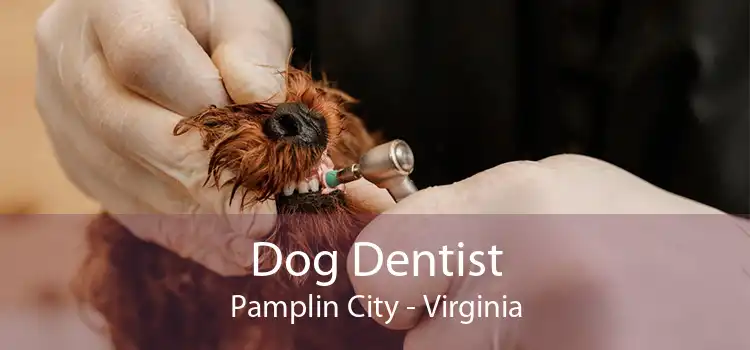 Dog Dentist Pamplin City - Virginia