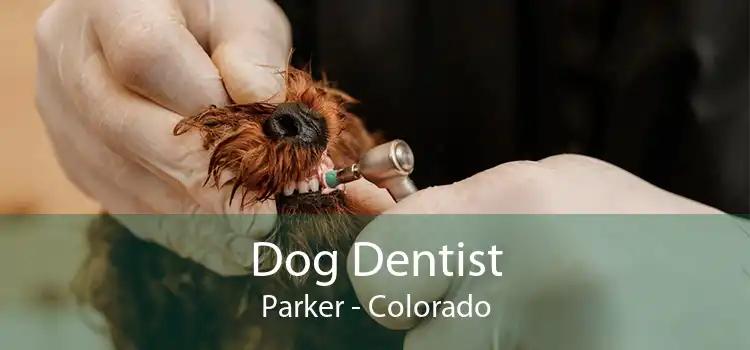 Dog Dentist Parker - Colorado