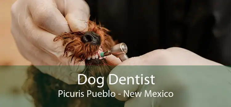 Dog Dentist Picuris Pueblo - New Mexico