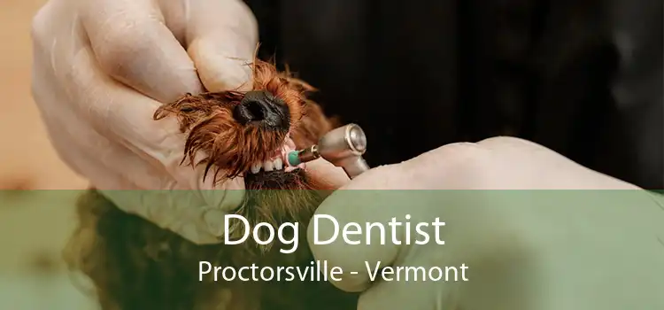 Dog Dentist Proctorsville - Vermont
