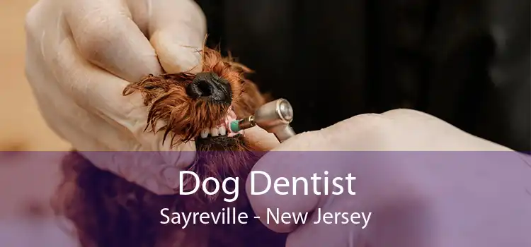 Dog Dentist Sayreville - New Jersey
