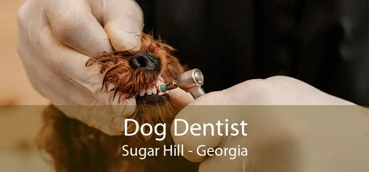 Dog Dentist Sugar Hill - Georgia