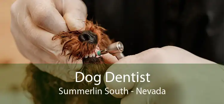 Dog Dentist Summerlin South - Nevada