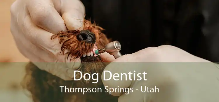 Dog Dentist Thompson Springs - Utah
