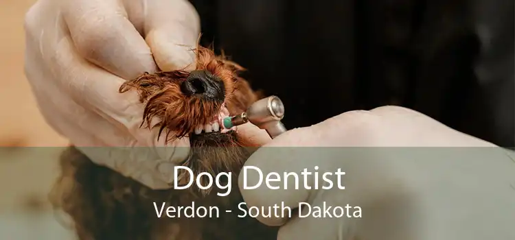 Dog Dentist Verdon - South Dakota