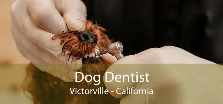 Dog Dentist Victorville - California