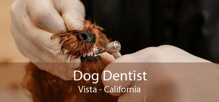 Dog Dentist Vista - California
