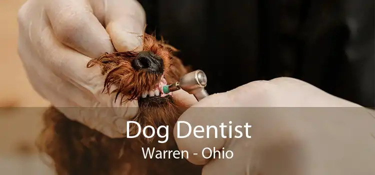 Dog Dentist Warren - Ohio