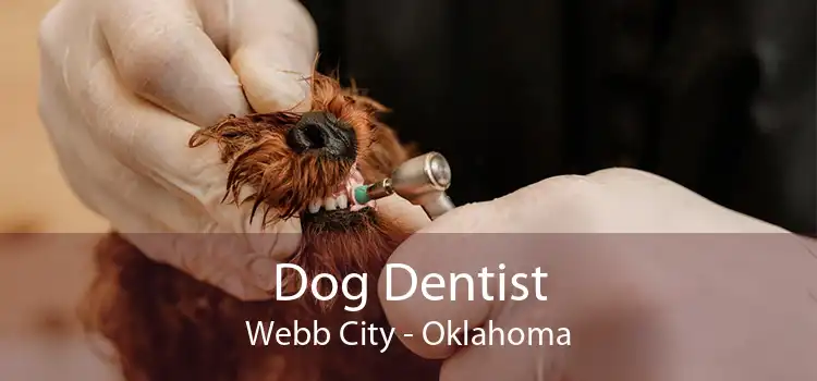 Dog Dentist Webb City - Oklahoma