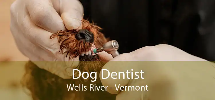 Dog Dentist Wells River - Vermont