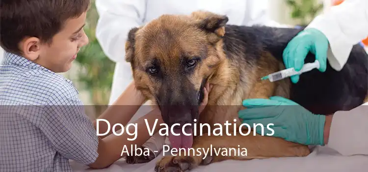 Dog Vaccinations Alba - Pennsylvania