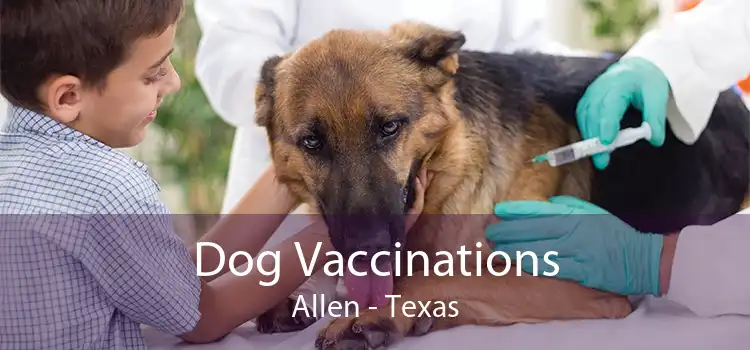Dog Vaccinations Allen - Texas