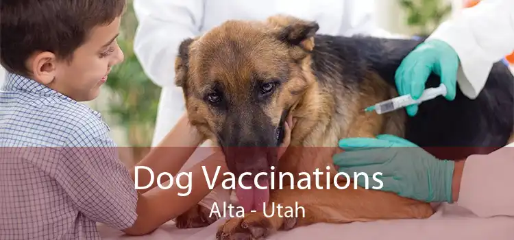 Dog Vaccinations Alta - Utah