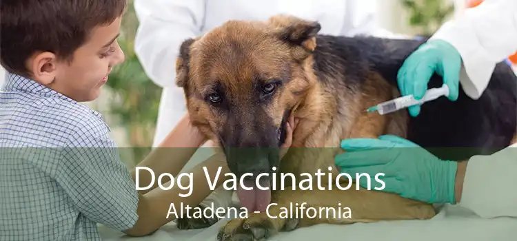 Dog Vaccinations Altadena - California