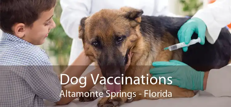 Dog Vaccinations Altamonte Springs - Florida