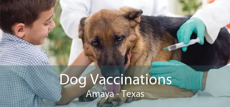 Dog Vaccinations Amaya - Texas