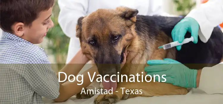 Dog Vaccinations Amistad - Texas