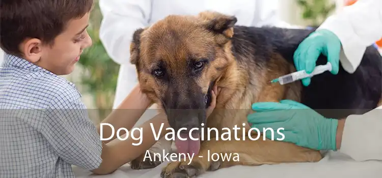 Dog Vaccinations Ankeny - Iowa