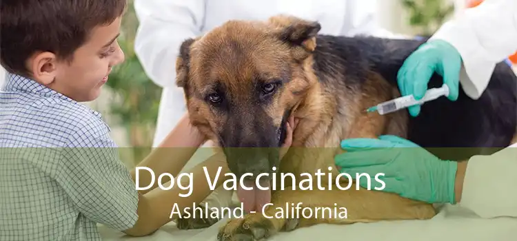 Dog Vaccinations Ashland - California