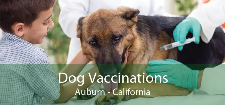 Dog Vaccinations Auburn - California