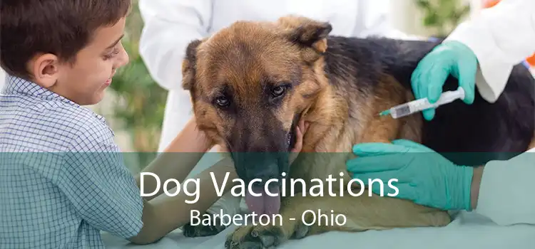 Dog Vaccinations Barberton - Ohio