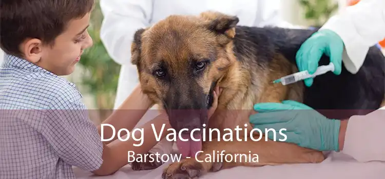 Dog Vaccinations Barstow - California