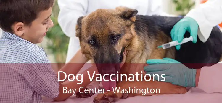 Dog Vaccinations Bay Center - Washington