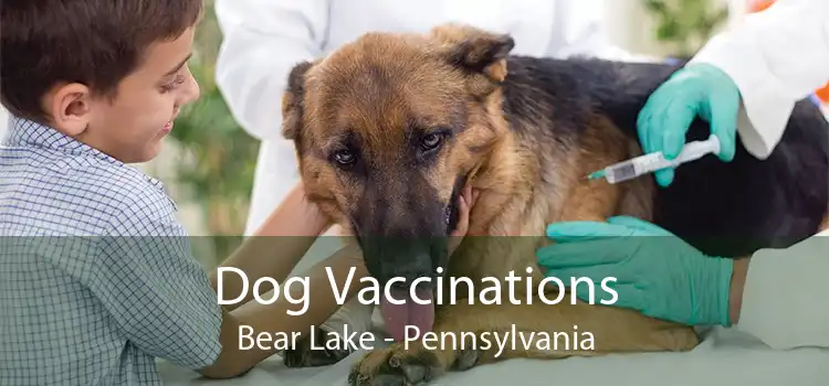 Dog Vaccinations Bear Lake - Pennsylvania