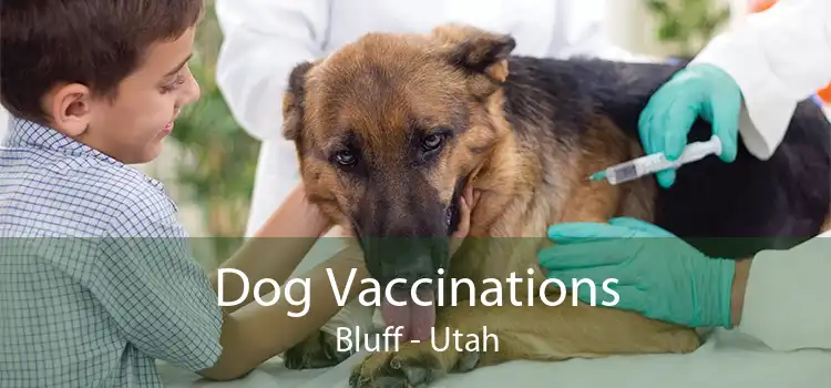 Dog Vaccinations Bluff - Utah