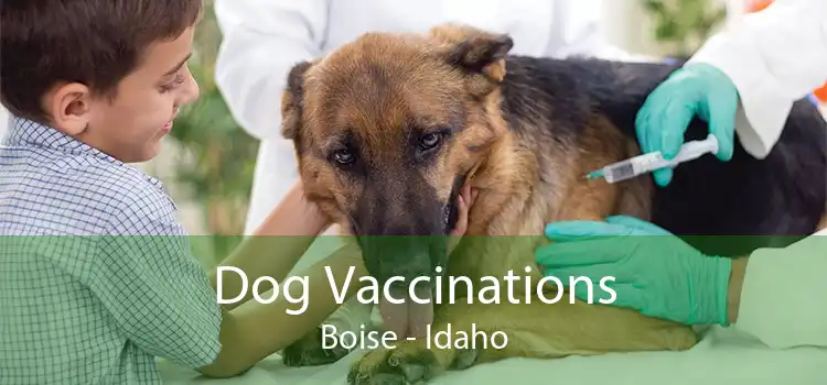 Dog Vaccinations Boise - Idaho
