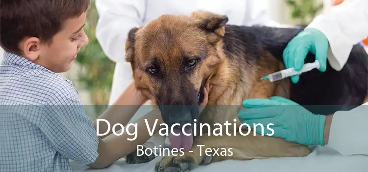 Dog Vaccinations Botines - Texas