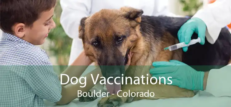 Dog Vaccinations Boulder - Colorado
