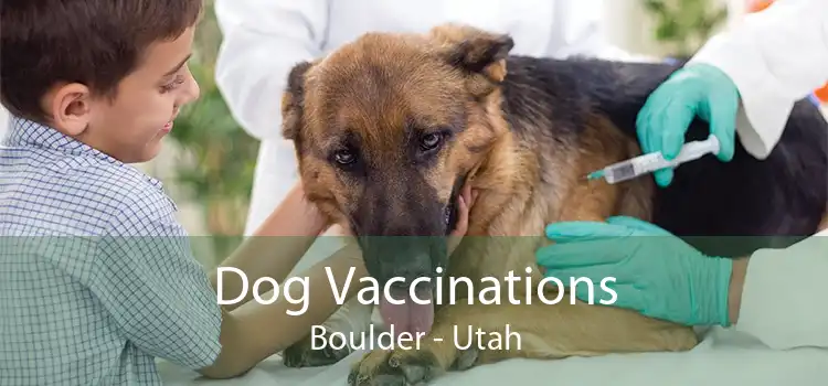 Dog Vaccinations Boulder - Utah