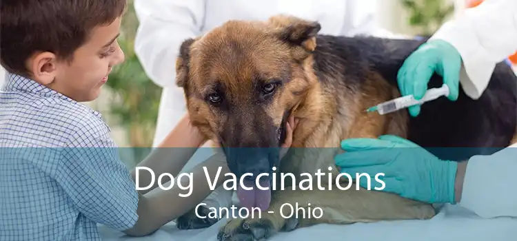 Dog Vaccinations Canton - Ohio