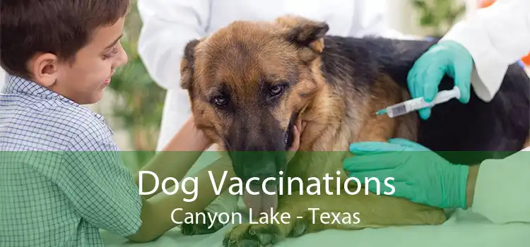 Dog Vaccinations Canyon Lake - Texas