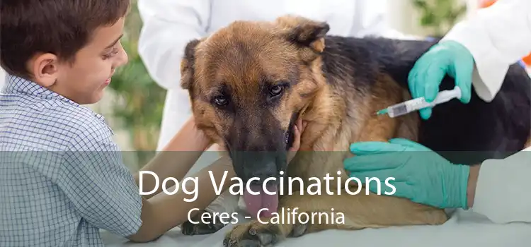 Dog Vaccinations Ceres - California