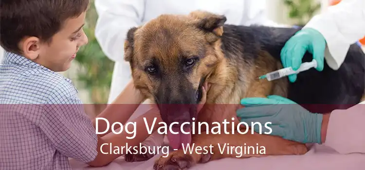 Dog Vaccinations Clarksburg - West Virginia