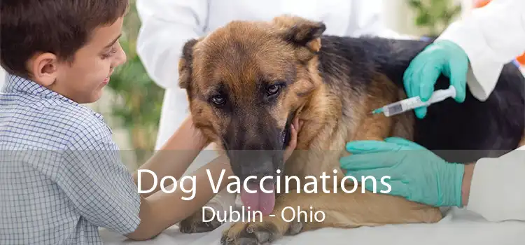 Dog Vaccinations Dublin - Ohio