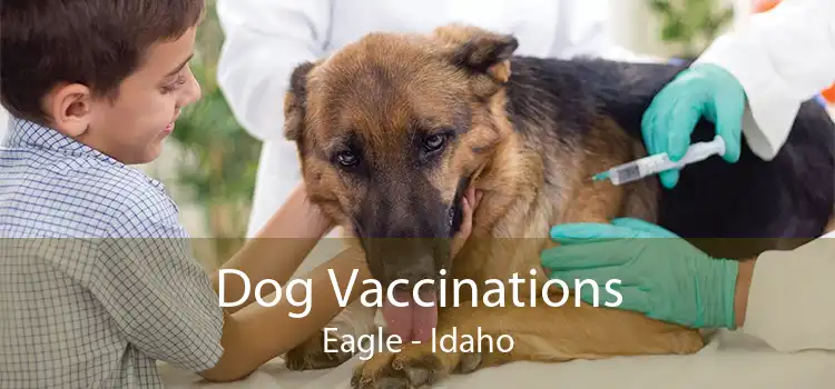 Dog Vaccinations Eagle - Idaho