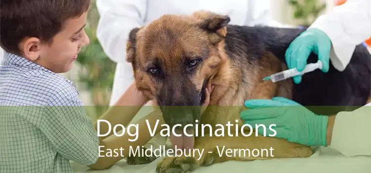 Dog Vaccinations East Middlebury - Vermont