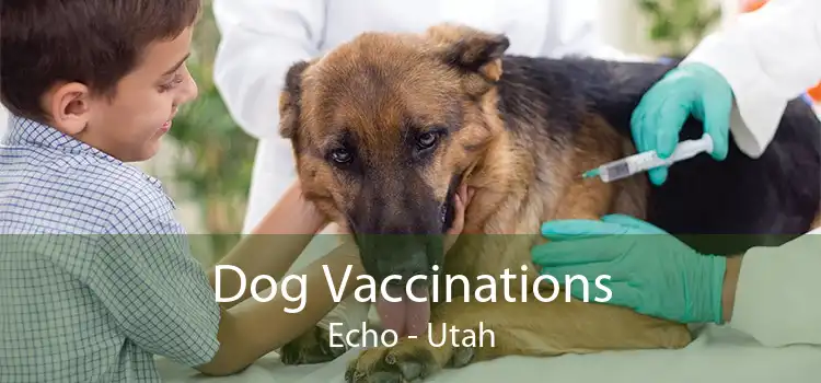 Dog Vaccinations Echo - Utah