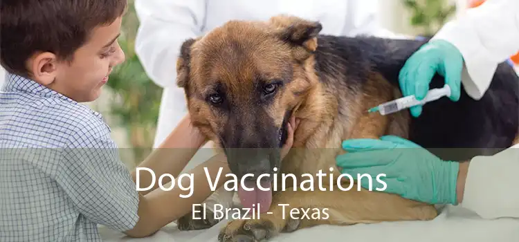 Dog Vaccinations El Brazil - Texas