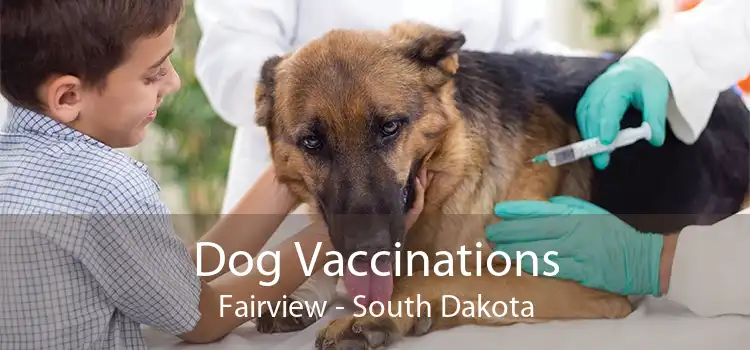 Dog Vaccinations Fairview - South Dakota