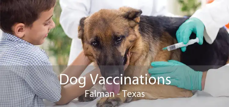 Dog Vaccinations Falman - Texas