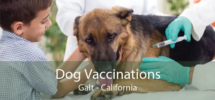 Dog Vaccinations Galt - California