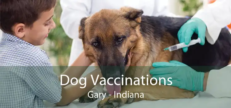 Dog Vaccinations Gary - Indiana