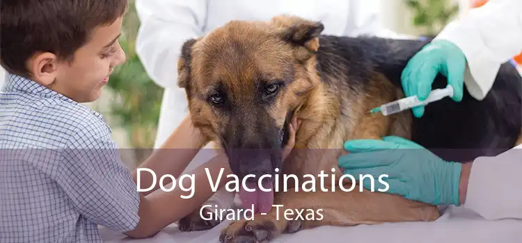 Dog Vaccinations Girard - Texas